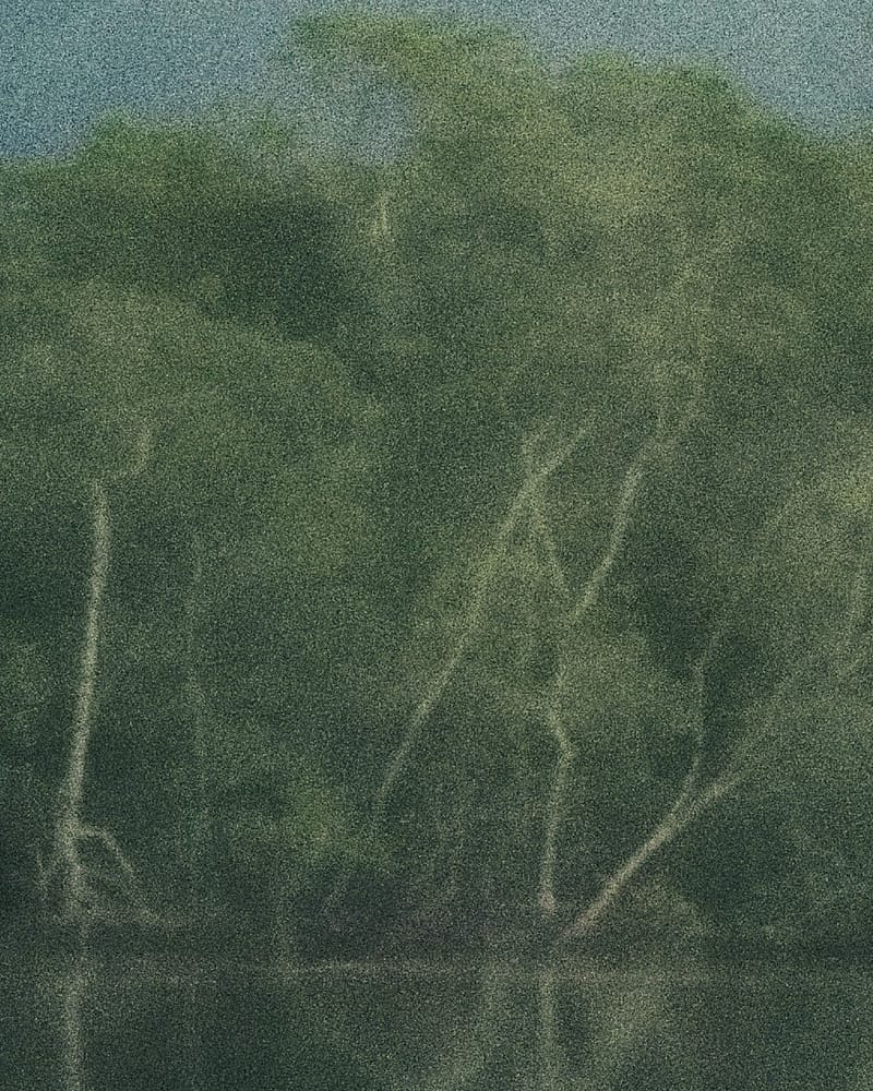 Marketing olfativo en México — bosque verde con neblina reflejado en un lago en calma, portada de Aire Vivo